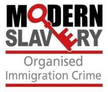 MSOIC logo