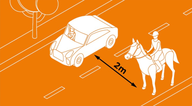Safe pass horse