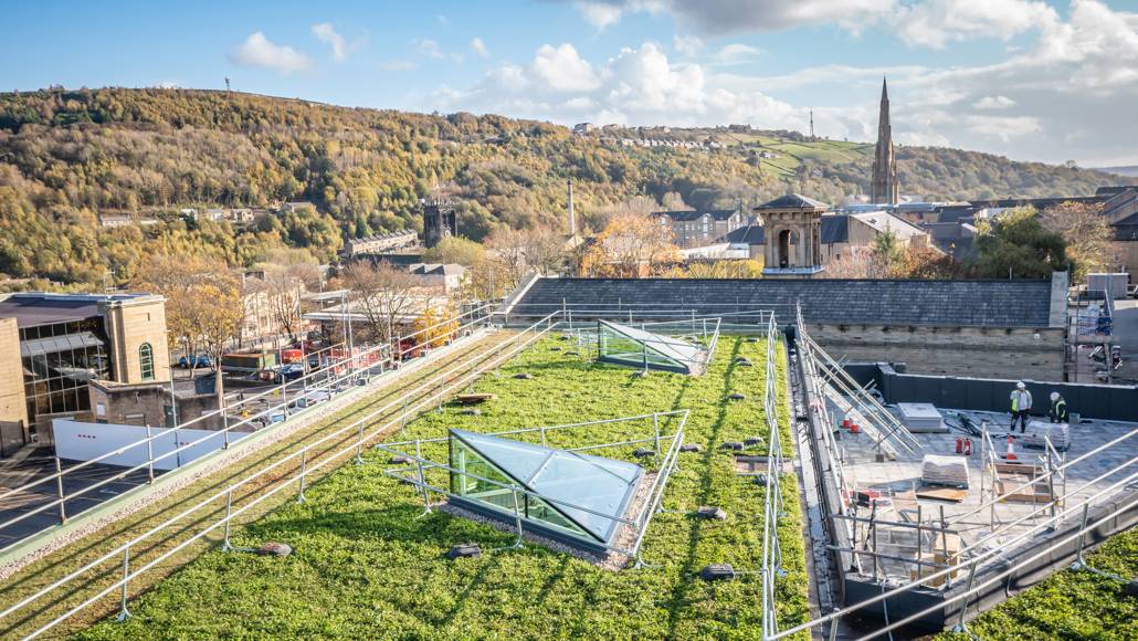 Halifax Bus Station Green Roof November 2022 (4)